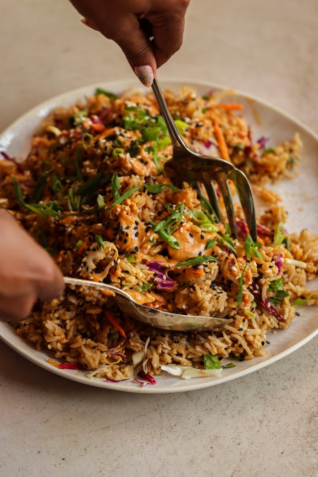 Sticky Rice Salad – The Tocka Blog